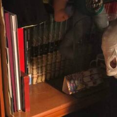 El Santo también prepara su serie biográfica