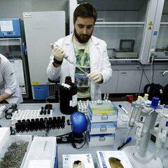 Las sustancias prohibidas más usadas en el deporte