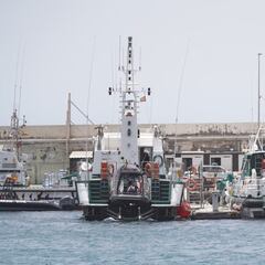 Auto de la juez: Gimeno paró en casa de sus padres con los cuerpos sin vida de Olivia y Anna en el maletero