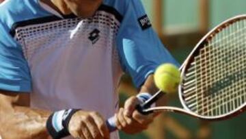 <b>David Ferrer</b>.