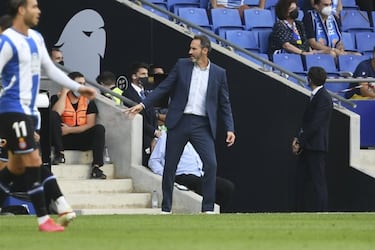 Espanyol, el perico verde