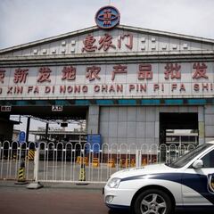 Rebrote en Pekín: ¿cuántos nuevos casos de coronavirus hay en China?