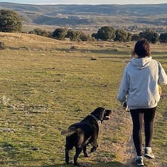 ¿Quién se queda la mascota en caso de divorcio o separación a partir de 2022?