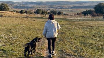 ¿Quién se queda la mascota en caso de divorcio o separación a partir de 2022?