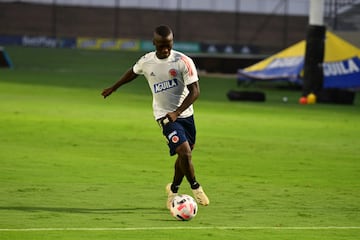 El entrenador colombiano, Reinaldo Rueda, realizó el primer entrenamiento con los jugadores convocados del FPC al microciclo que se lleva a cabo en la Sede Deportiva de la Federación Colombiana de Fútbol. 