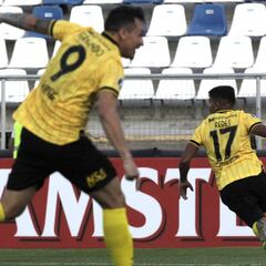 Palestino tropieza en la Copa