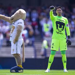 Pumas condiciona la renovación de Alfredo Talavera