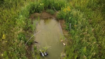 Convierten un lago en un ecosistema total en tan solo ocho meses después de cavar un estanque de más de un metro