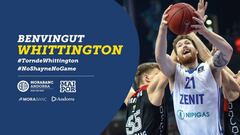 Shayne Whittington, nuevo p&iacute;vot del MoraBanc Andorra, durante su etapa con el Zenit.