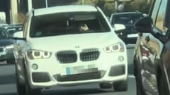 Graban a una mujer haciendo esto mientras conducía cerca de Madrid: ¿se merece lo que le están diciendo en TikTok?