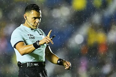 Un gato va por las Chivas