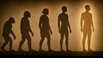 Human evolution - artist's impression