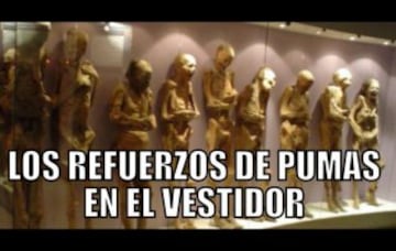 Los mejores memes creados por americanistas para Pumas