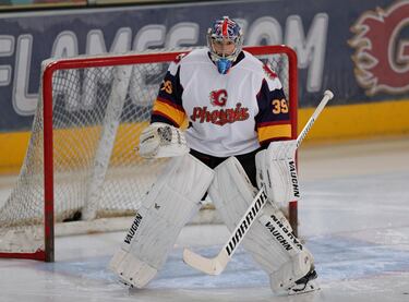 El portero checo, ya retirado firmó por el Guildford Phoenix, un modesto club semi profesional de la liga de hockey hielo inglesa. Aficionado al deporte del stick, en República Checa es un deporte muy popular, siguió defendiendo una portería, aunque de menores dimensiones.