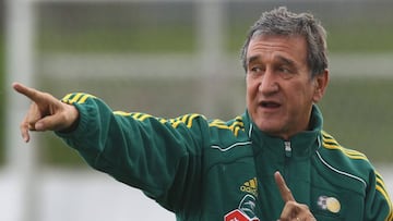 El exseleccionador de Sud&aacute;frica Carlos Alberto Parreira, en el Mundial de 2010.