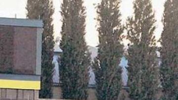 <b>LA SESIÓN DE AYER.</b> La plantilla se ejercitó ayer por la tarde y Valverde mentalizó a sus jugadores para el encuentro de hoy. La sesión fue poco intensa bajo el calor de Bratislava y a la misma hora, prácticamente, del encuentro de esta tarde. A por ellos.