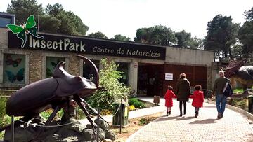 Insect Park