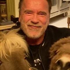 Schwarzenegger y su particular 'quédate en casa'... ¡con un burro y un poni!
