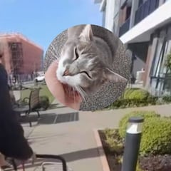 La hermosa amistad entre un jubilado de 93 años y su mascota que se ha hecho viral en redes por rutina diaria