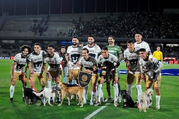 Los jugadores de Pumas posan en el c?sped junto a un grupo de perros antes del partido contra Quer?taro, correspondiente al Torneo Apertura de de la Liga MX mexicana. El acto tuvo lugar en el Estadio Universitario Ol?mpico de la Ciudad de M?xico, dentro de la campa∟a "Adopta un amigo" para promover la adopci?n de mascotas.
