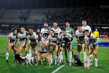 Los jugadores de Pumas posan en el csped junto a un grupo de perros antes del partido contra Quertaro, correspondiente al Torneo Apertura de de la Liga MX mexicana. El acto tuvo lugar en el Estadio Universitario Ol¡mpico de la Ciudad de Mxico, dentro de la campa¤a "Adopta un amigo" para promover la adopci¢n de mascotas.