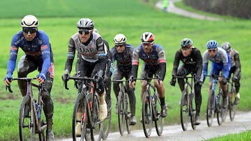 Jasper Philipsen y Matteo Trentin compiten durante la Gante-Wevelgem 2023.