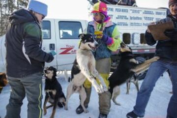 Después del acto ceremonial, ayer comenzó la primera etapa de la carrera de trineos con perros en Willow, Alaska. El viaje será de un total de 1.609 kilómetros.