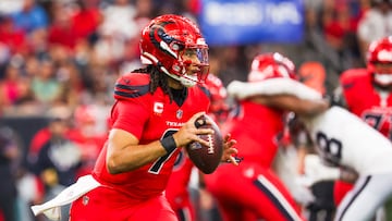 The 10-5 Texans are sitting just outside the AFC playoff picture, but they have a chance to work their way in when they face the Chargers in Week 17.