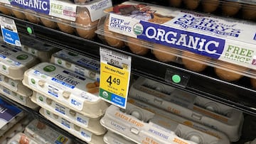 Cartons of eggs are for sale in a supermarket in McLean, Virginia, June 10, 2022. - Wall Street stocks fell sharply early on June 10 following fresh data showing surging consumer prices that quashed hopes inflation would quickly abate. Friday's report showed the consumer price index (CPI) jumped 8.6 percent compared to May 2021, topping analyst estimates and up from 8.3 percent in the 12 months ending in April. (Photo by SAUL LOEB / AFP) (Photo by SAUL LOEB/AFP via Getty Images)