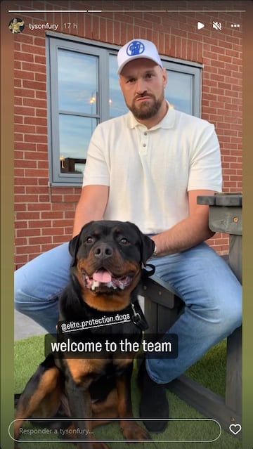 Fury ha presentado al nuevo miembro del equipo.