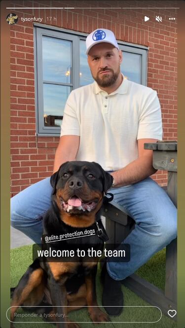 Tyson Fury se gasta una fortuna en un lujoso coche y en un descomunal perro guardi¨¢n