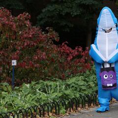 La mayoría de surfistas no teme a los tiburones