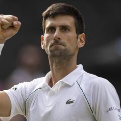 ¿Es justa la liberación de Djokovic que le acerca al Open de Australia?