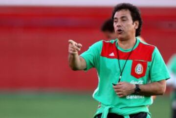 Estuvo al frente del Tricolor del 2006 al 2008. No pudo calificar a los Juegos Olímpicos de Beijing 2008 y dejó el puesto con 28 partidos, 15 ganados, cuatro empatados y nueve perdidos, lo que da una efectividad del 58.33%.