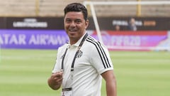 Gallardo se quejó del pedido de retrasar la Superliga