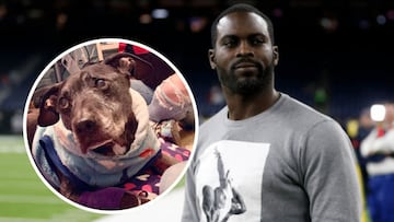 Muere Frodo, el &uacute;ltimo de los perros sobrevivientes de la red de peleas de canes ilegales del exjugador de la NFL, Michael Vick. Aqu&iacute; los detalles.