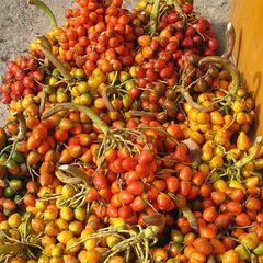 El superalimento recomendado para mejorar el sueño y el estado de ánimo