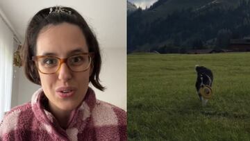 Una española que vive en Suiza cuenta qué pasa allí con las mascotas: en España, no