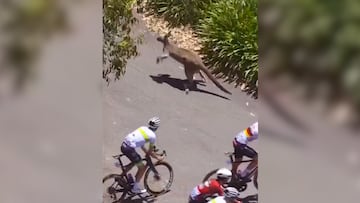 Involucrado, también se vio Jay Vine, quien superó el fuerte golpe y ganó el título de la carrera.