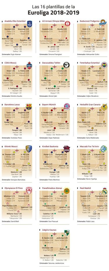 Las 16 plantillas de la Euroliga posici車n por posici車n