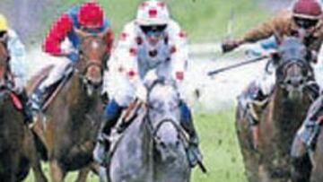 <b>NUEVA EDICIÓN. </b>En la Copa de Oro 2006 venció el caballo Pro Ken.