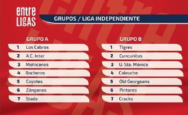 Ya están definidos los grupos del Clausura en la LIF