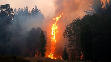 La denuncia de un piloto español que se hizo viral y que enoja a todos
