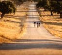 “Camino a Lisboa en bici de montaña, el reto de Powerade”