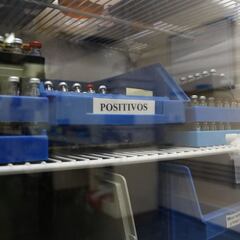 La AMA avisa a España: si no adapta la Ley, habrá sanción