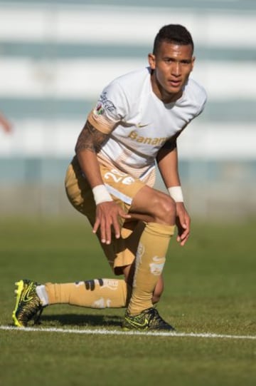 Jugó con Pumas del Clausura 2016 al Apertura 2016