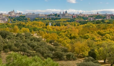 Los 8 parques más bonitos de Madrid