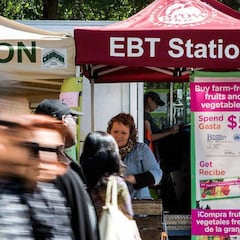 How can I participate in the SNAP Program if I am a merchant?