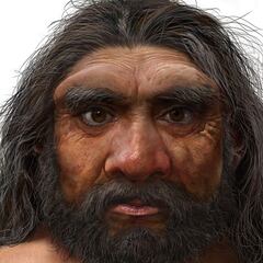 Científicos chinos descubren al 'hombre dragón', pariente más cercano del Homo Sapiens