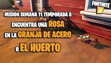 ¿Dónde encontrar una rosa en Granja de Acero o El Huerto en Fortnite Temporada 5?